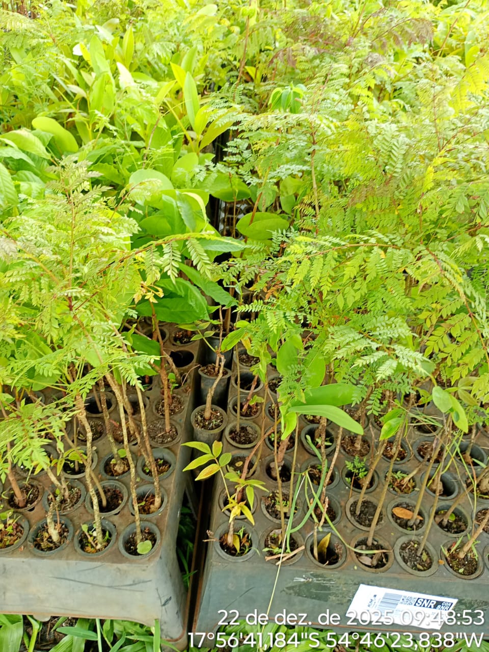 Entrega de materiais marca início da recuperação da APP do Córrego Ferrugem no Assentamento Carlos Roberto Soares de Melo